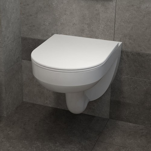 Bathroom rimless vortex - vortex, flush