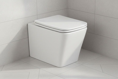 Rimless back wall toilet - wall,