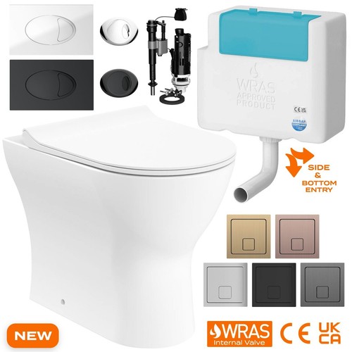 Back wall toilet rimless - wall,