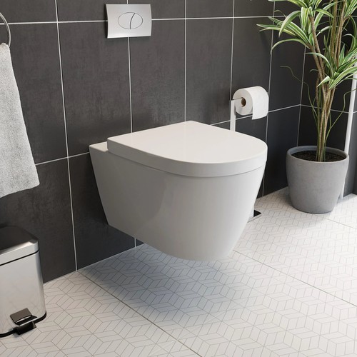 Wall hung rimless - hung, toilet